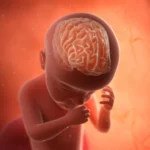 Lina Irawan